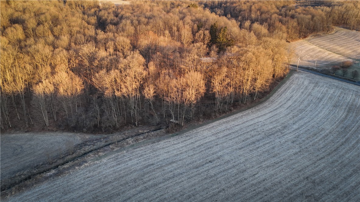 5360 Church Road Moravia, NY 13118 - Photo 34 of 50