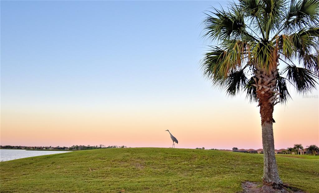 4188 Muirfield Loop Lake Wales, FL 33859 - Photo 51 of 74 a view of a ocean