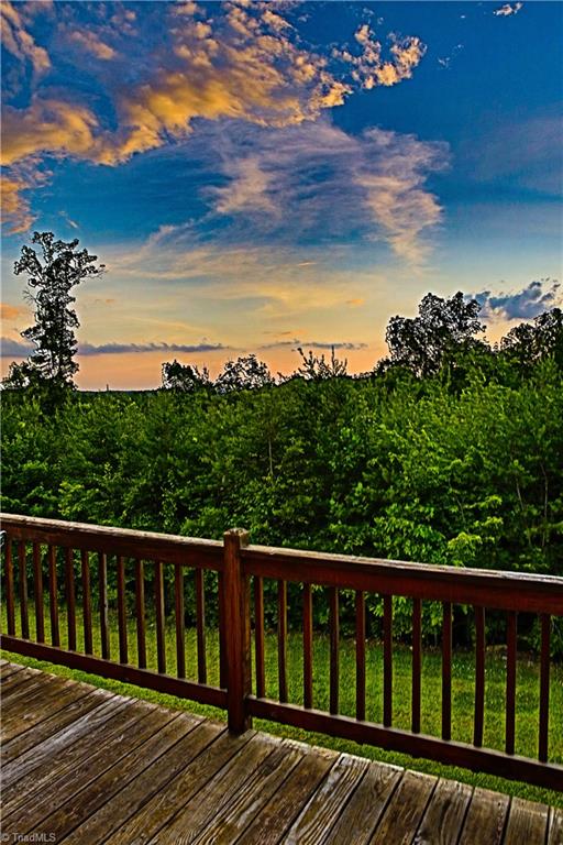 224 Bennett Road Stoneville, NC 27048 - Photo 7 of 27 View off back deck
