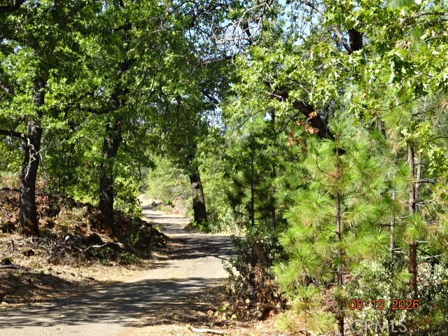 0 Lookout Mountain Road Oak Run, CA 96069 - Photo 19 of 23 Gallery Image 19