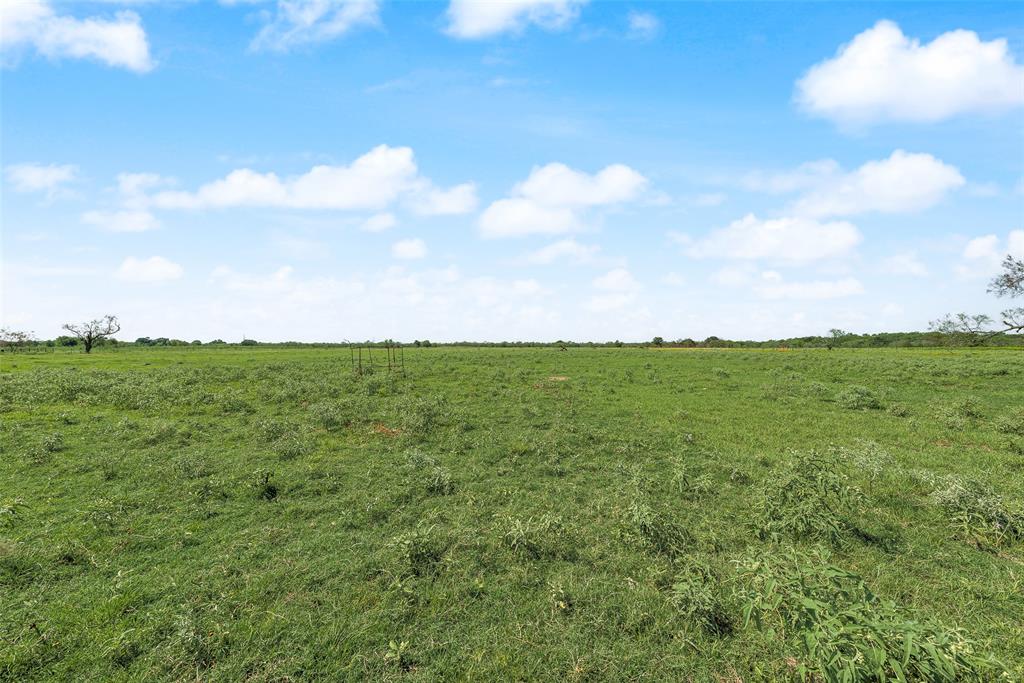 a view of yard with ocean view
