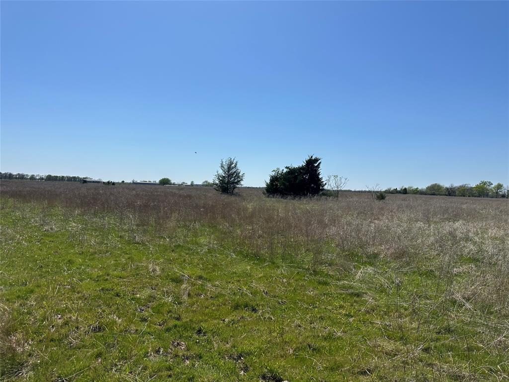 1111 County Road 2805 Sumner, TX 75486 - Photo 3 of 6 a view of ocean with green space