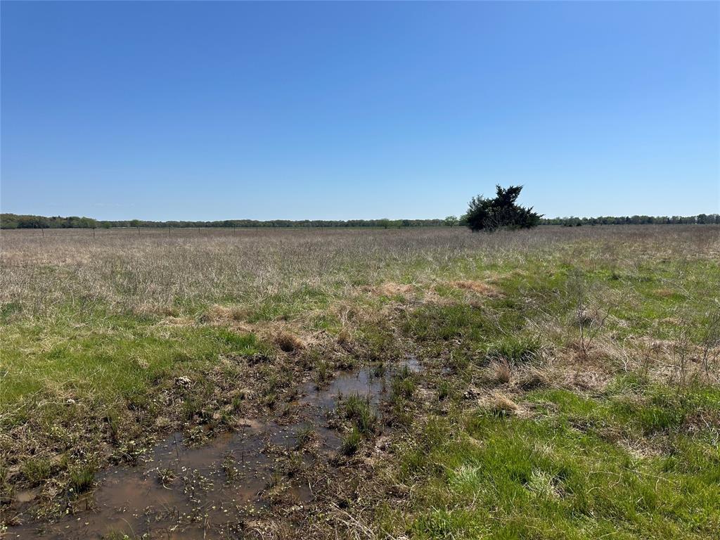 1111 County Road 2805 Sumner, TX 75486 - Photo 5 of 6 a view of lake view and mountain view