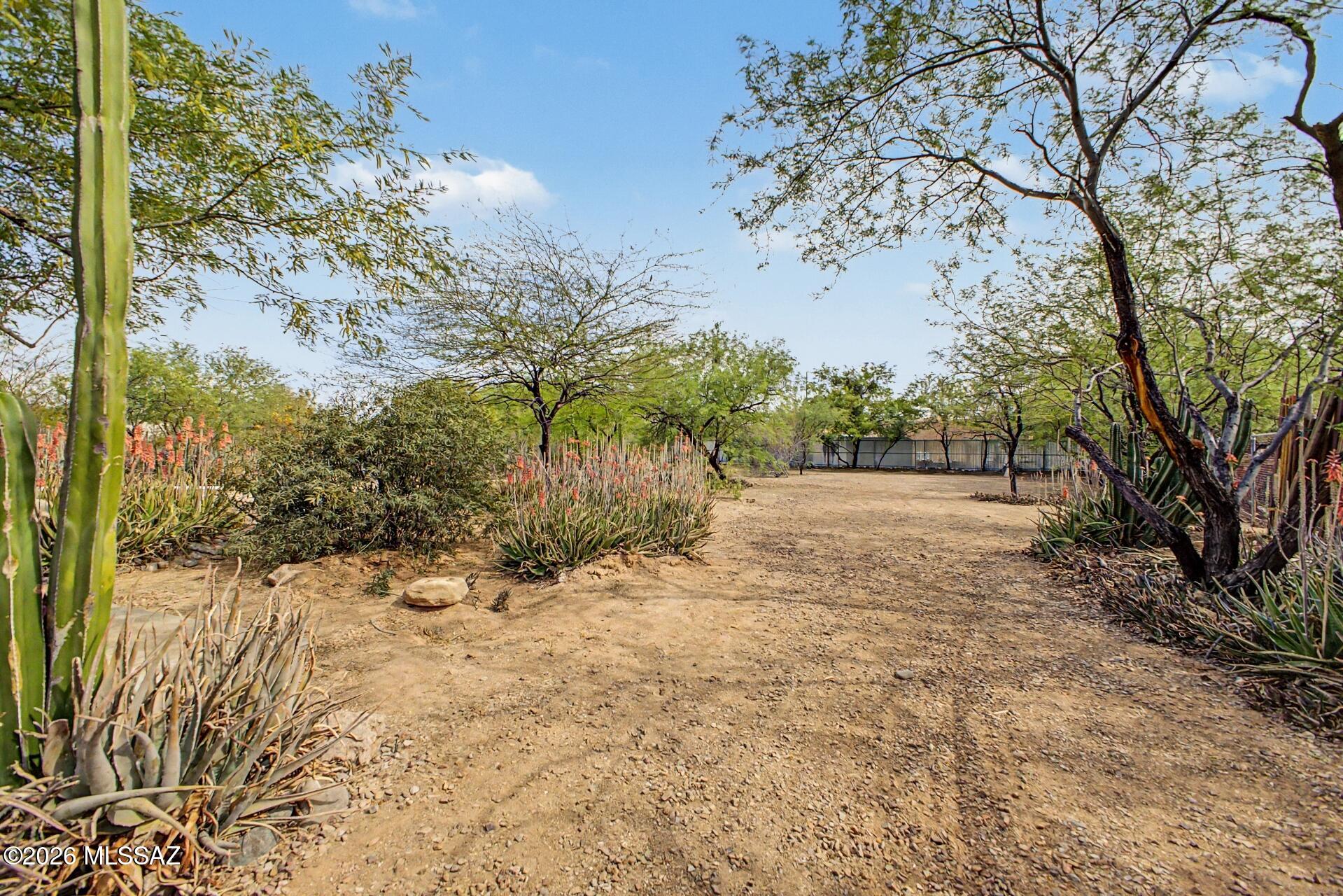 1514 East Lind Road Tucson, AZ 85719 - Photo 42 of 51