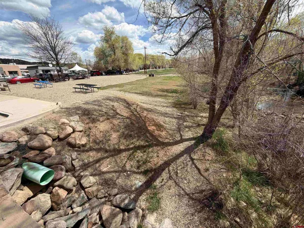 a view of a park with large trees