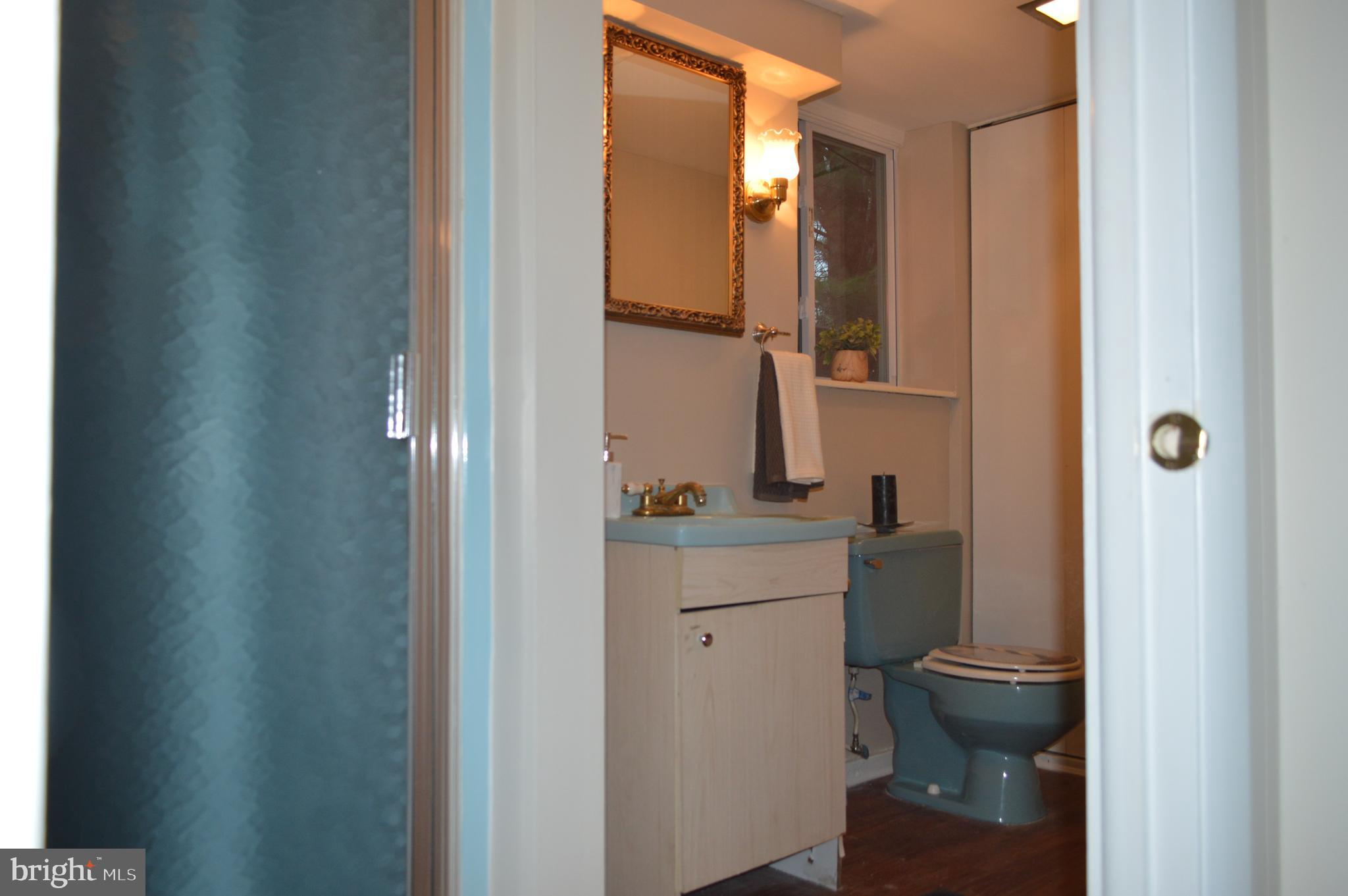 5931 Snowdens Run Road Sykesville, MD 21784 - Photo 25 of 31 Lower level full bath