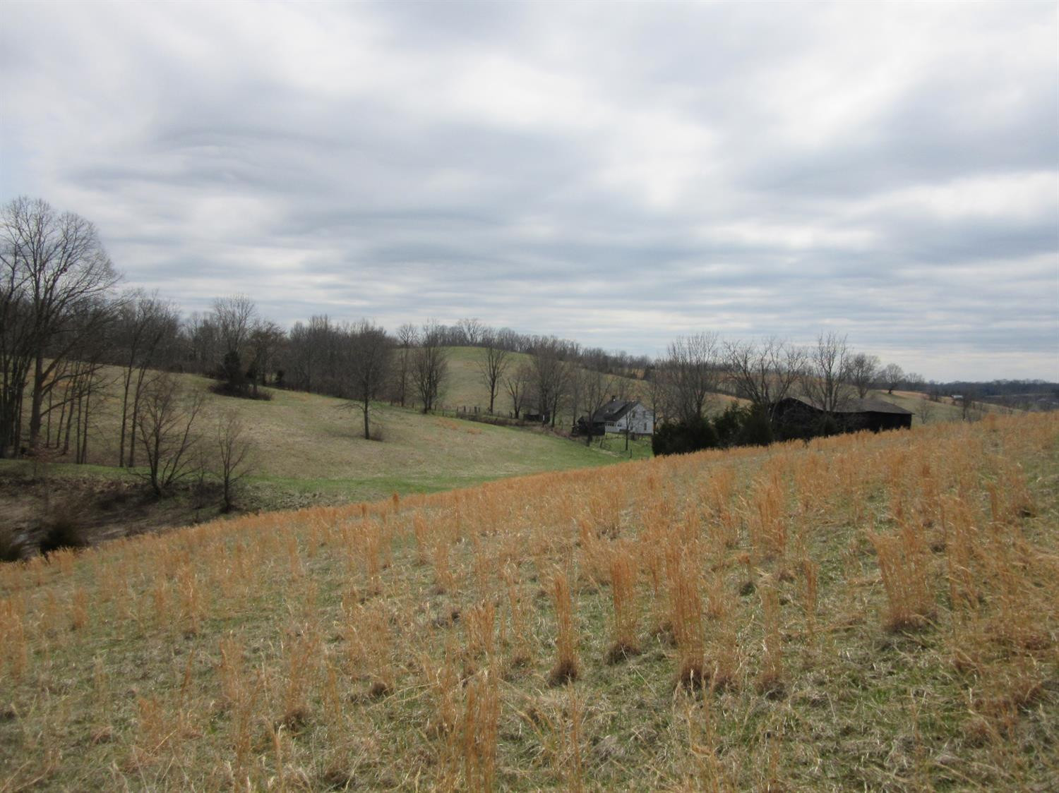 4885 Owenton Road Stamping Ground, KY 40379 - Photo 58 of 69 Photo 58