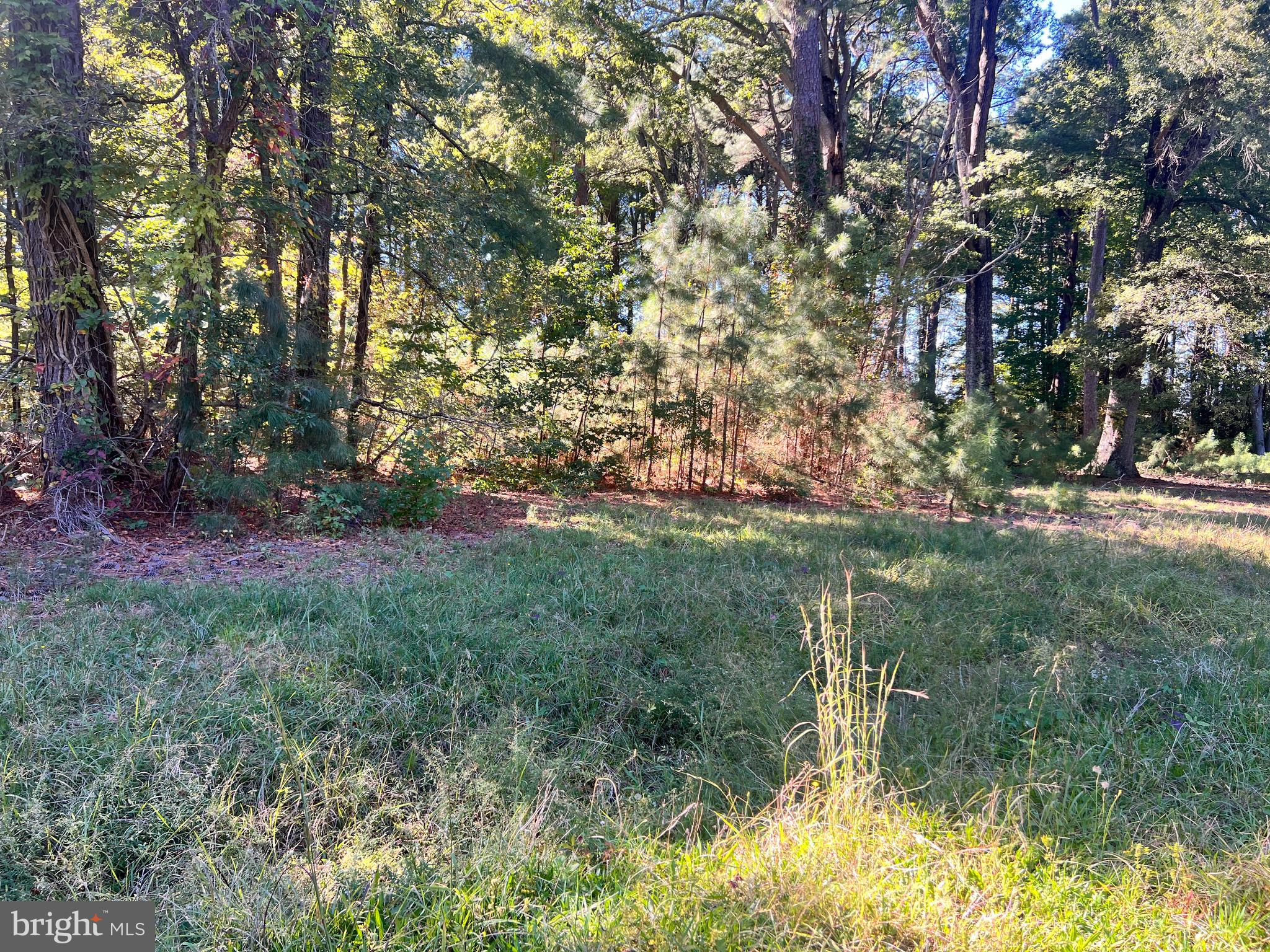 252 Lighthouse Lane Montross, VA 22520 - Photo 6 of 11 a view of outdoor space and yard