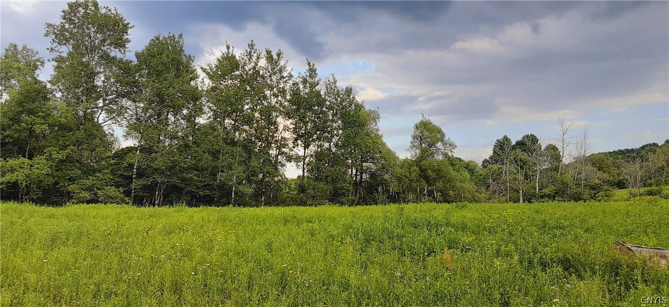 271 Snyder Road Newport, NY 13416 - Photo 8 of 41