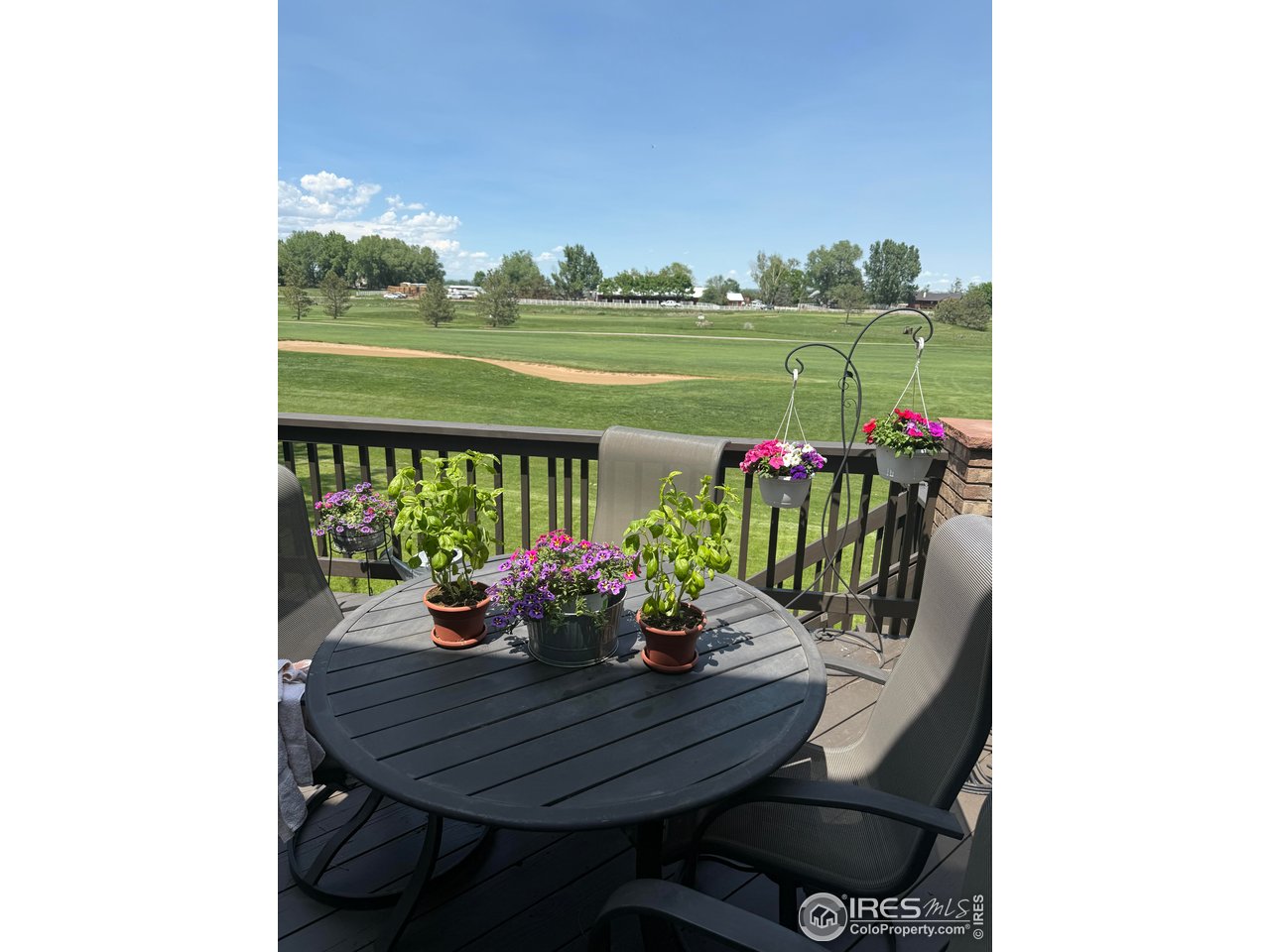 5320 Augusta Trail Fort Collins, CO 80528 - Photo 39 of 43