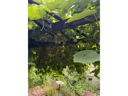 $1,075,000 | 5320 Augusta Trail, Fort Collins, CO 80528