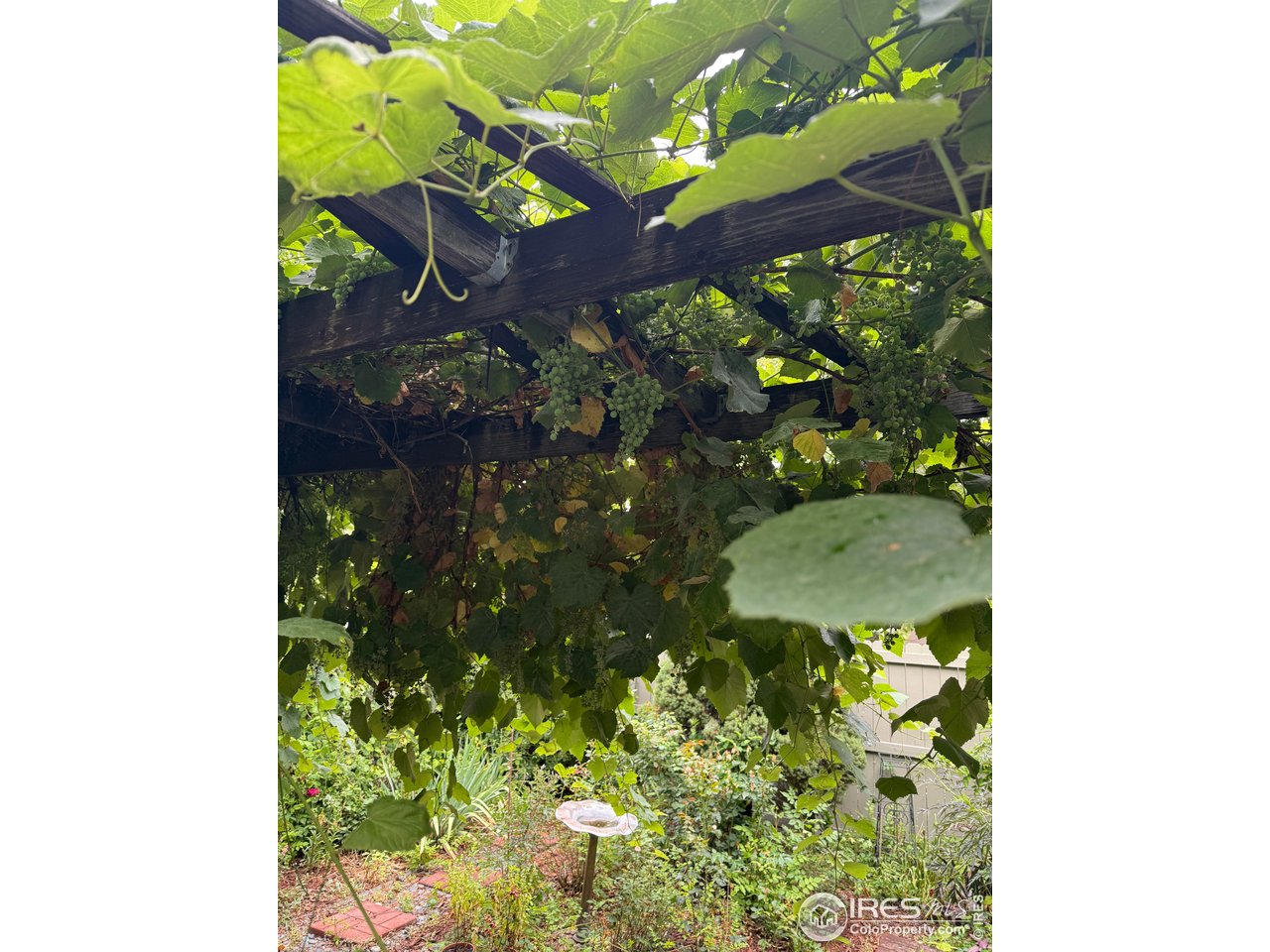 5320 Augusta Trail Fort Collins, CO 80528 - Photo 40 of 43