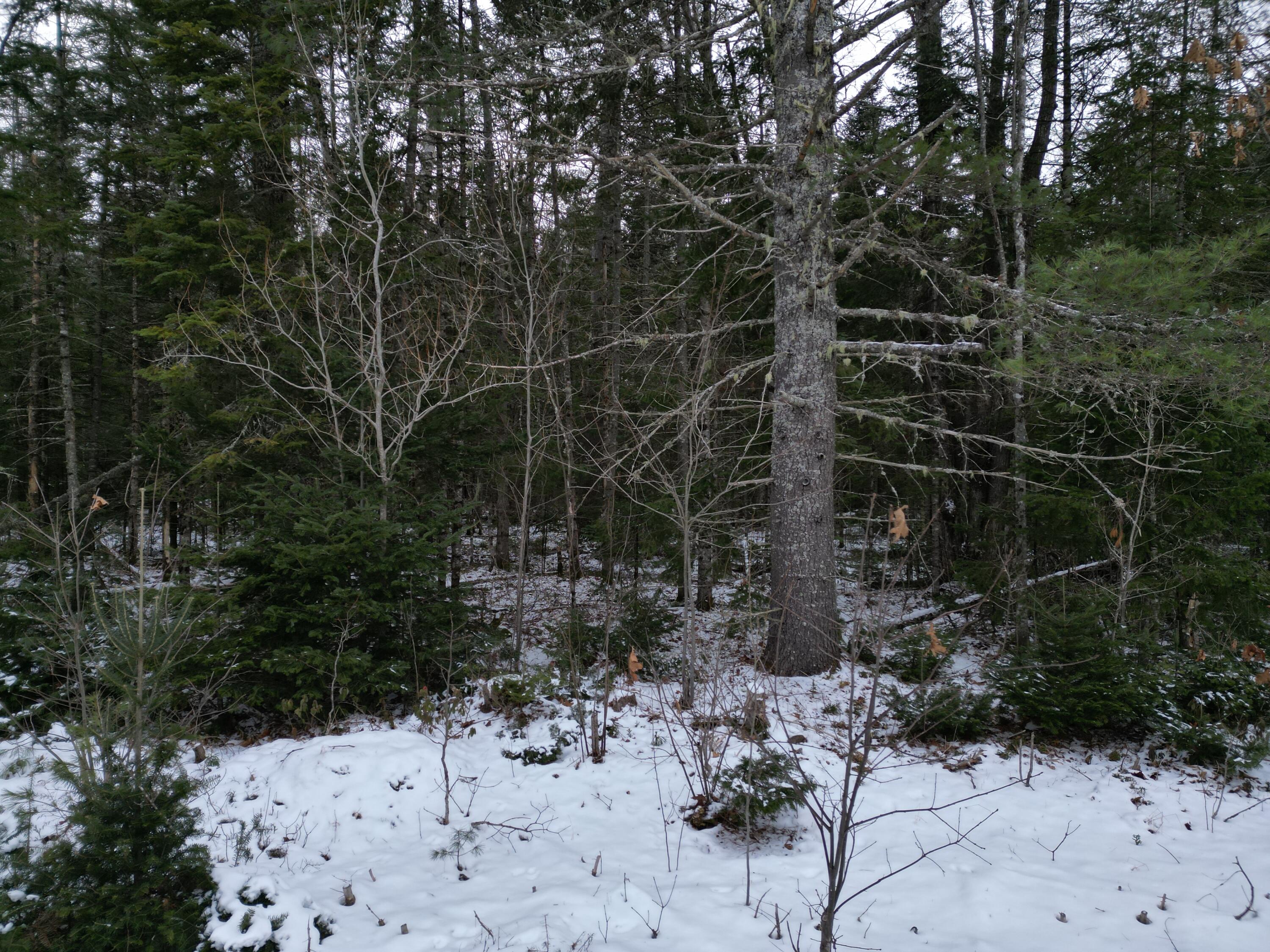 9-2 Edinburg Road Howland, ME 04448 - Photo 8 of 12 DJI_0572