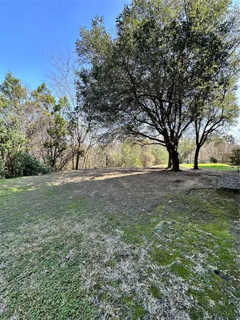 a view of yard with green space
