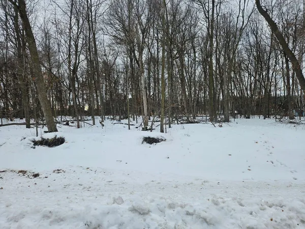 $135,000 | Lot 1-block 1/2 Avenue Northeast, St. Stephen, MN 56375
