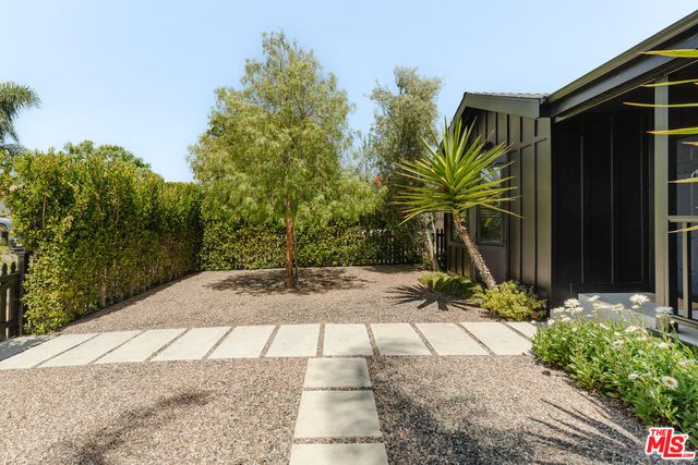 a view of backyard of the house