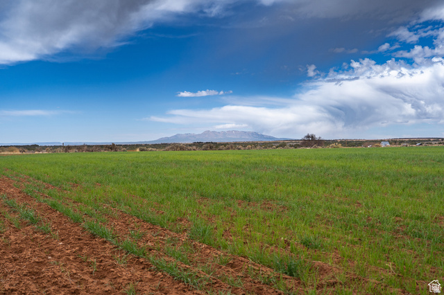 1 North Bug Point Monticello, UT 84535 - Photo 5 of 23 Expansive cultivated field with planted rows and distant mountain ranges