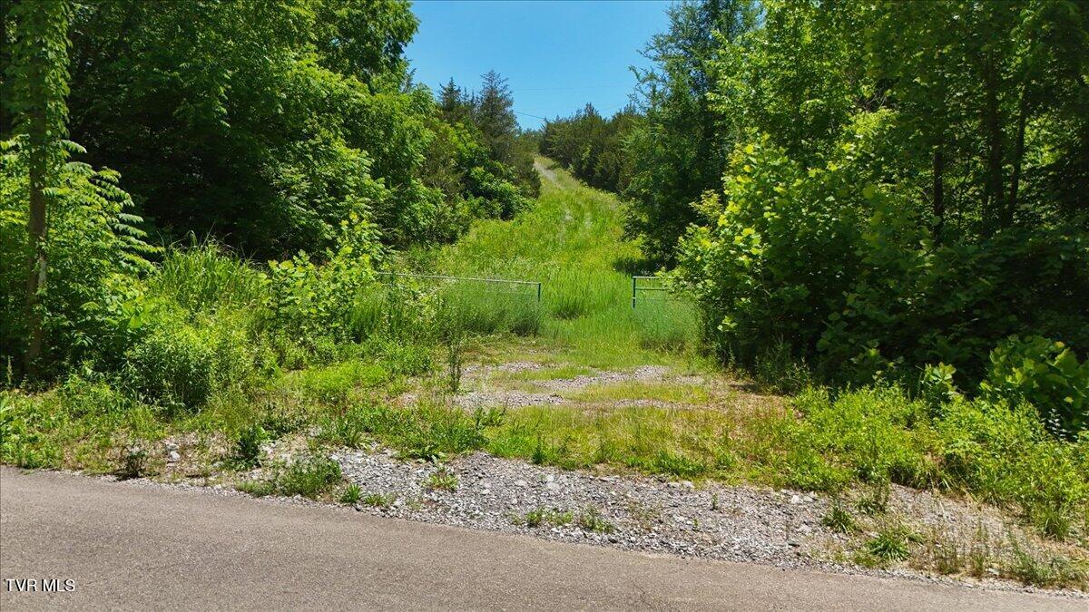 5441 Fred Marshall Road Russellville, TN 37860 - Photo 17 of 20 10-DJI_20260604133353_0920_D