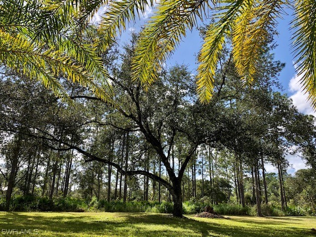 2991 Bateman Road Alva, FL 33920 - Photo 11 of 27 Gallery Image 11
