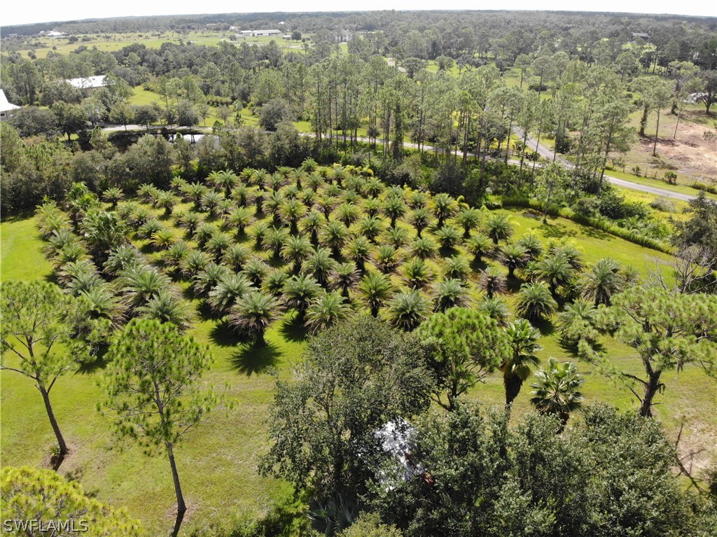 2991 Bateman Road Alva, FL 33920 - Photo 26 of 27 Gallery Image 26
