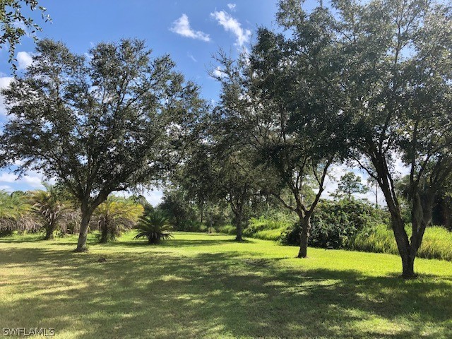 2991 Bateman Road Alva, FL 33920 - Photo 27 of 27 Gallery Image 27
