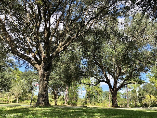 2991 Bateman Road Alva, FL 33920 - Photo 9 of 27 Gallery Image 9