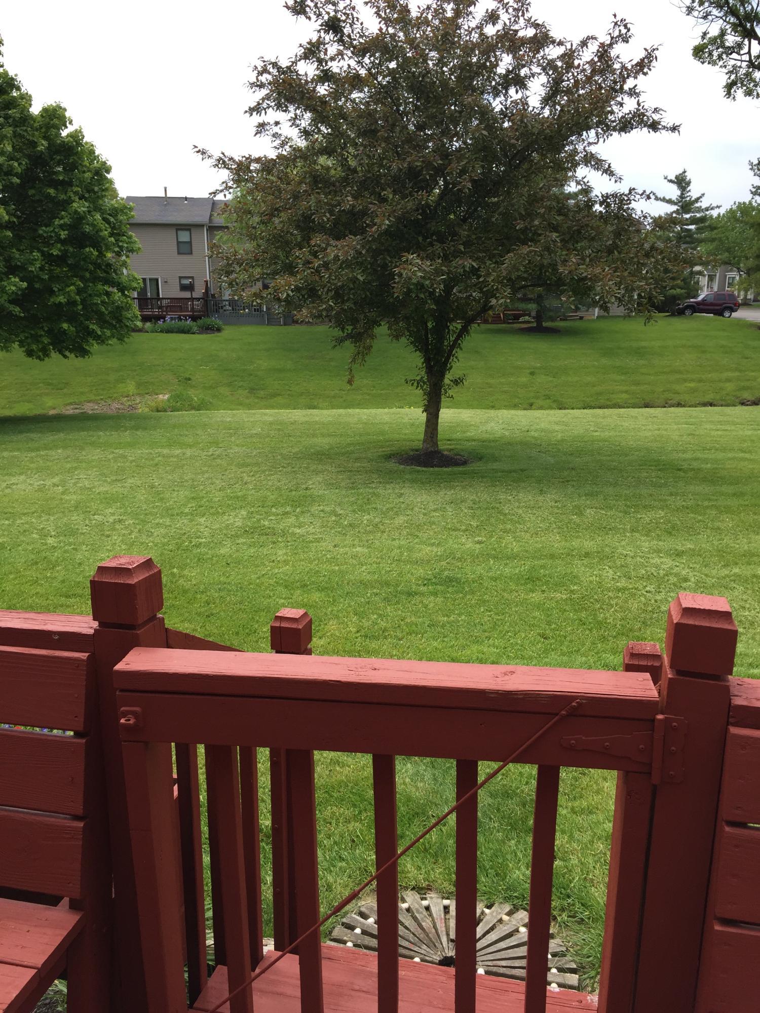 8197 Rochester Way, Unit 25B Westerville, OH 43081 - Photo 21 of 22