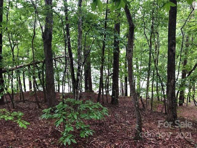 13 South B S Cove Rd Mill Spring Mill Spring, NC 28756 - Photo 1 of 18 a view of outdoor space and green space