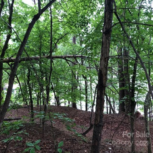 13 South B S Cove Rd Mill Spring Mill Spring, NC 28756 - Photo 2 of 18 a view of a forest
