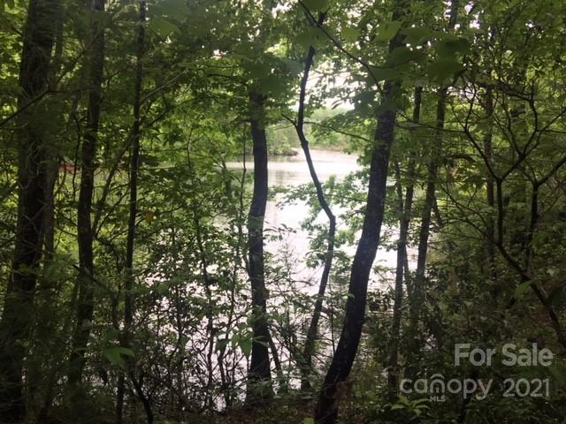 13 South B S Cove Rd Mill Spring Mill Spring, NC 28756 - Photo 11 of 18