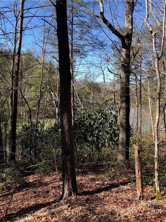 13 South B S Cove Rd Mill Spring Mill Spring, NC 28756 - Photo 14 of 18 a view of a yard