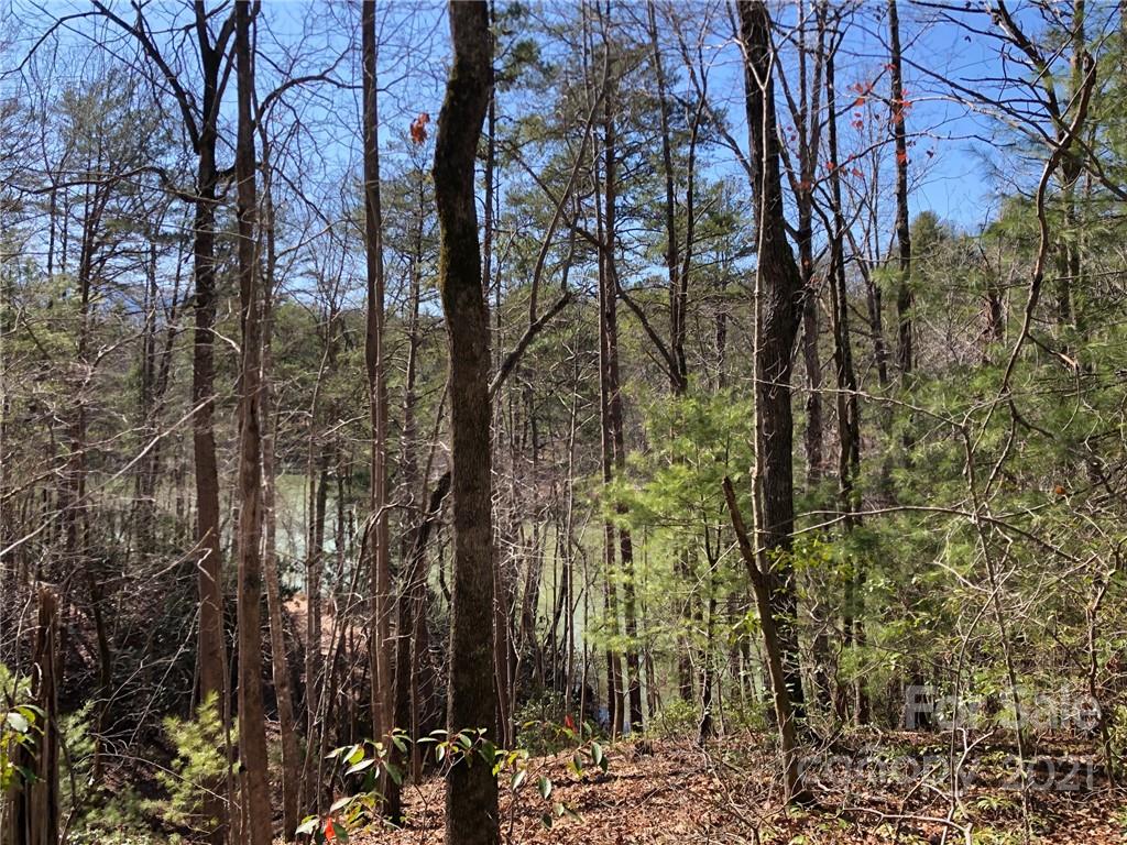 13 South B S Cove Rd Mill Spring Mill Spring, NC 28756 - Photo 16 of 18 a view of a forest covered with snow
