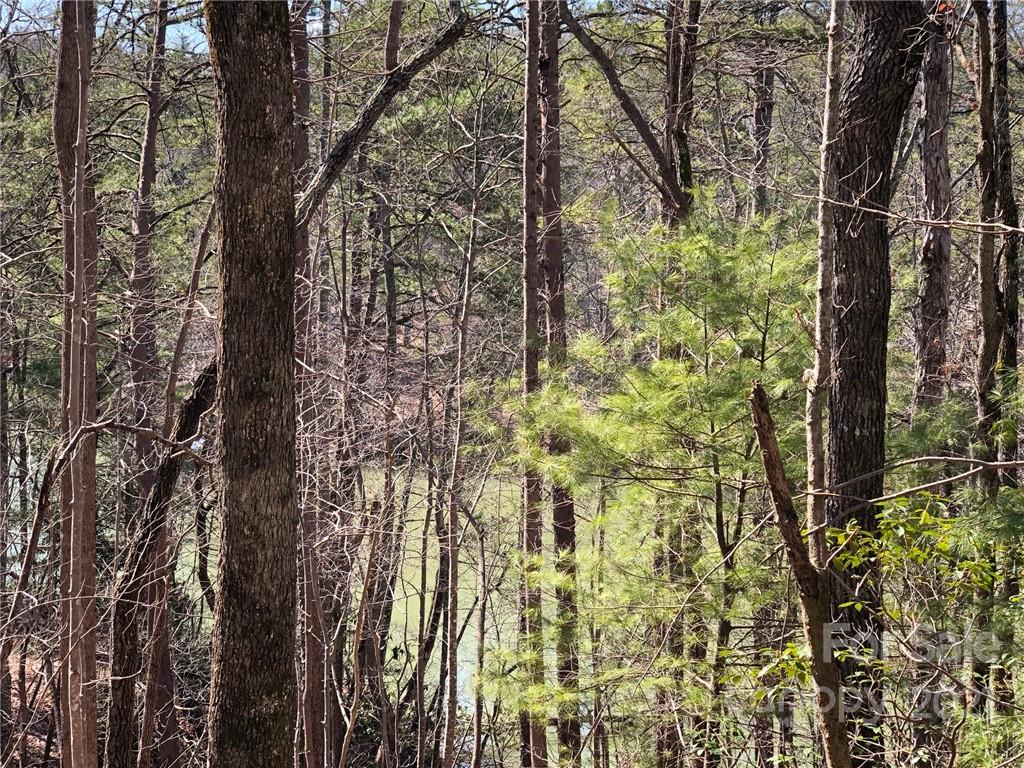 13 South B S Cove Rd Mill Spring Mill Spring, NC 28756 - Photo 17 of 18 a view of outdoor space