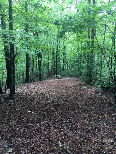 13 South B S Cove Rd Mill Spring Mill Spring, NC 28756 - Photo 5 of 18 a view of a forest with trees in the background