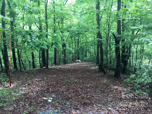 13 South B S Cove Rd Mill Spring Mill Spring, NC 28756 - Photo 6 of 18 a view of a forest with trees in the background