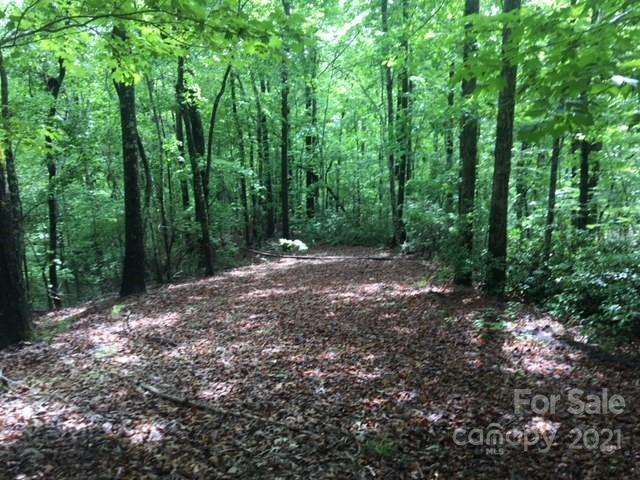 13 South B S Cove Rd Mill Spring Mill Spring, NC 28756 - Photo 7 of 18 a view of a forest with trees in the background