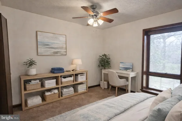 a living room with furniture a window and a potted plant