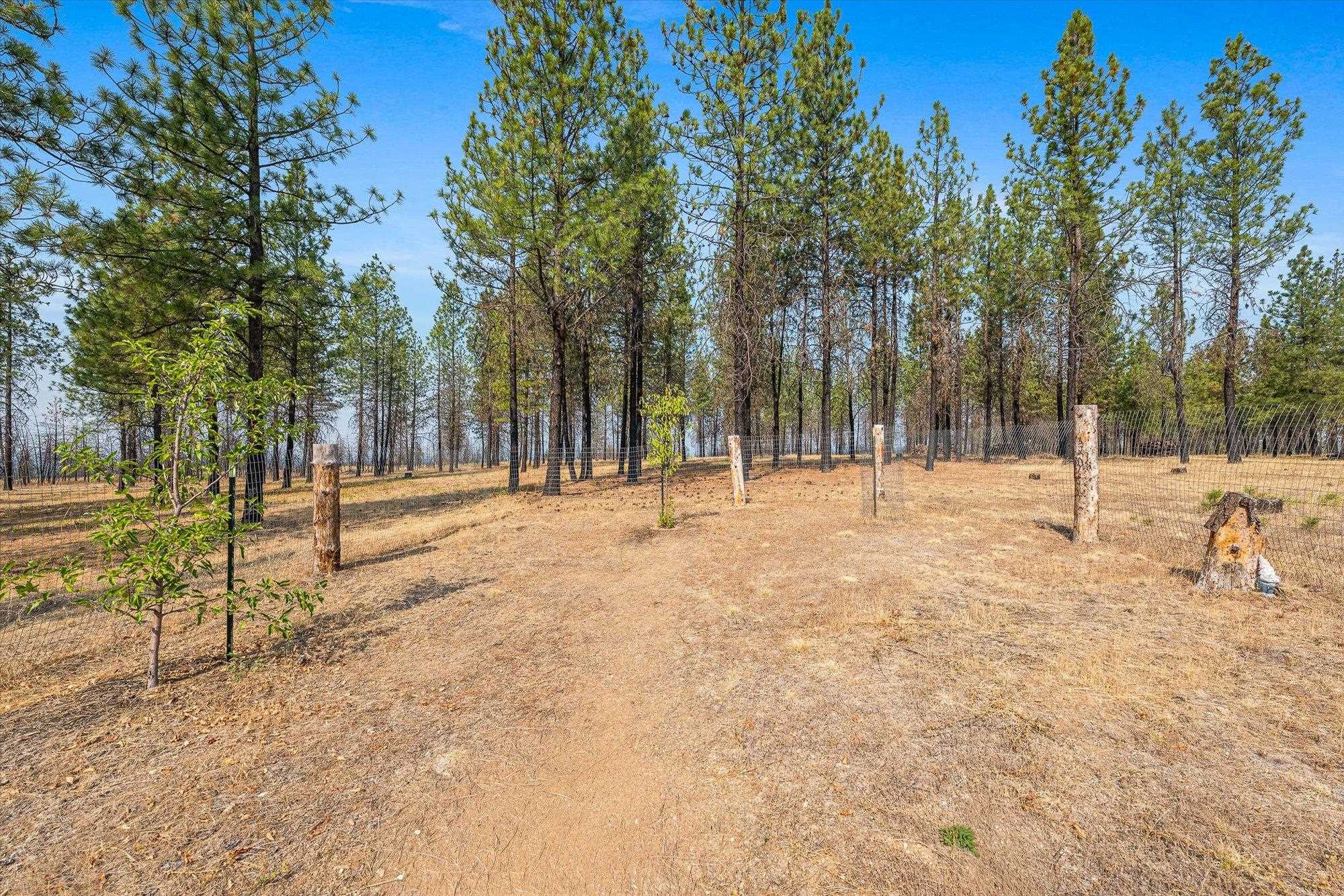 14021 East Nelson Road Elk, WA 99009 - Photo 38 of 50