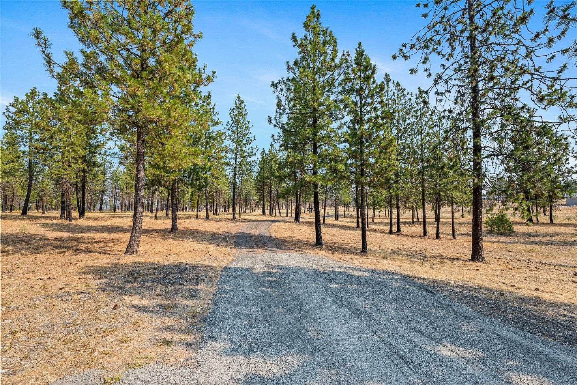 14021 East Nelson Road Elk, WA 99009 - Photo 42 of 50