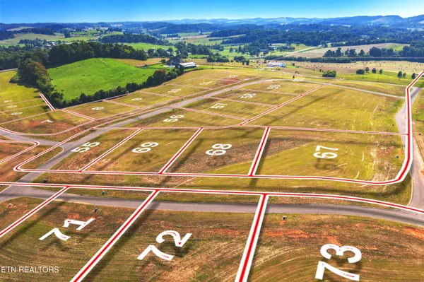 $90,000 | Lot 56 Meadow Vista Way, White Pine, TN 37890