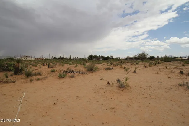 a view of a lake with a beach