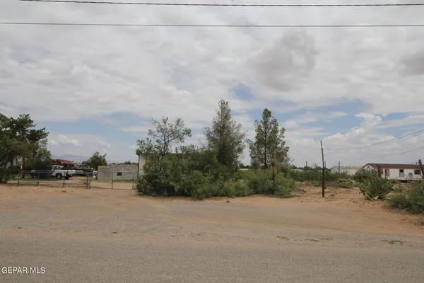 a view of a yard along with trees