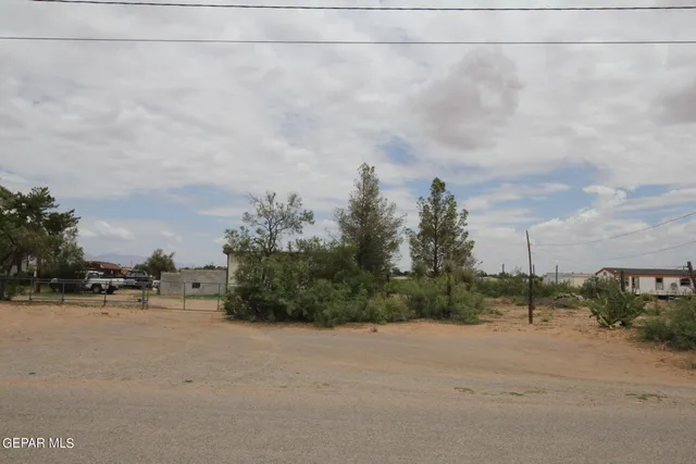 a view of a yard along with trees