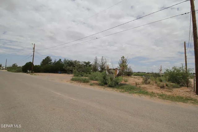 a view of road with large trees