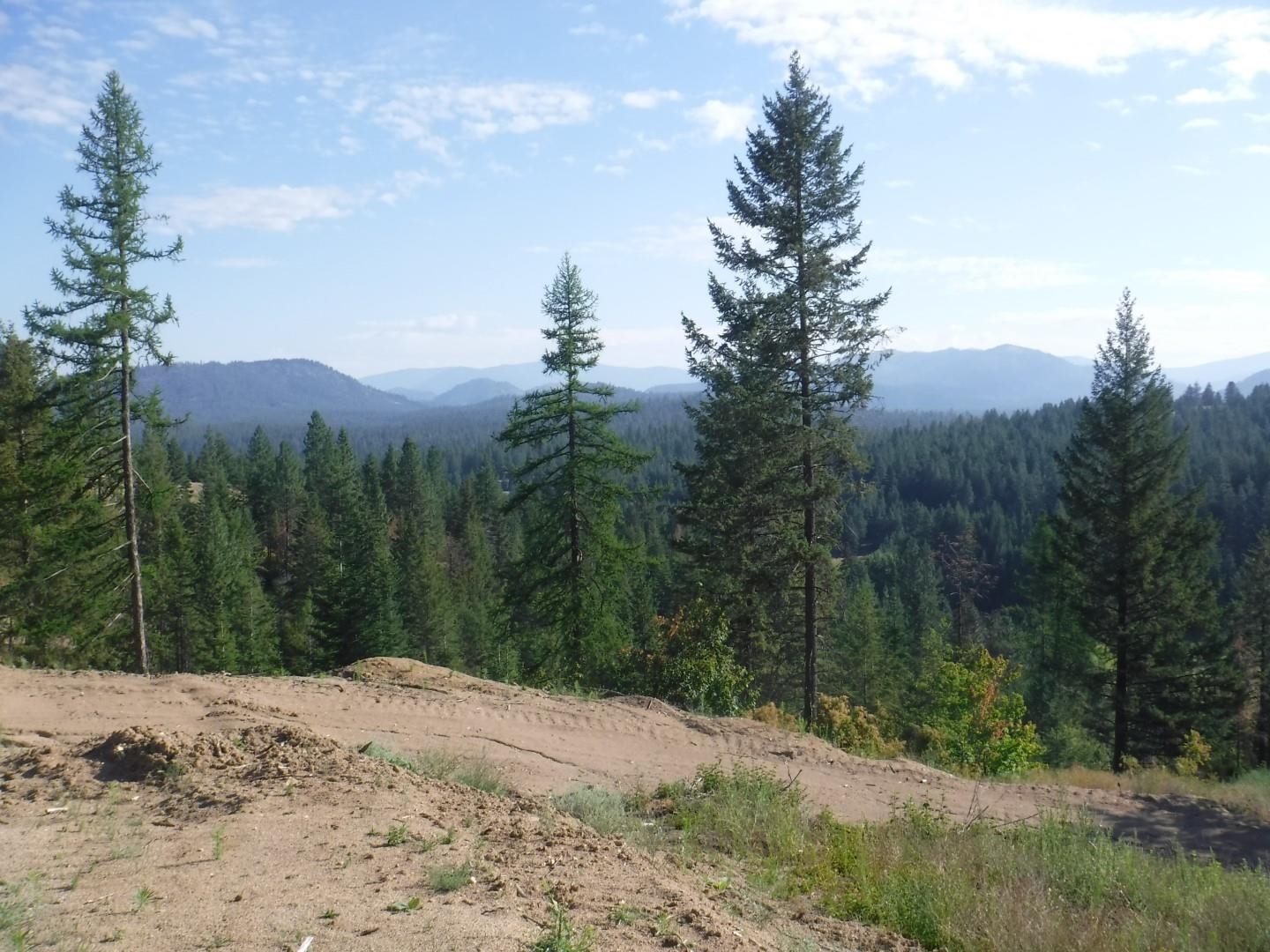 Lot 2 Moose Ridge Way Loon Lake, WA 99148 - Photo 1 of 11