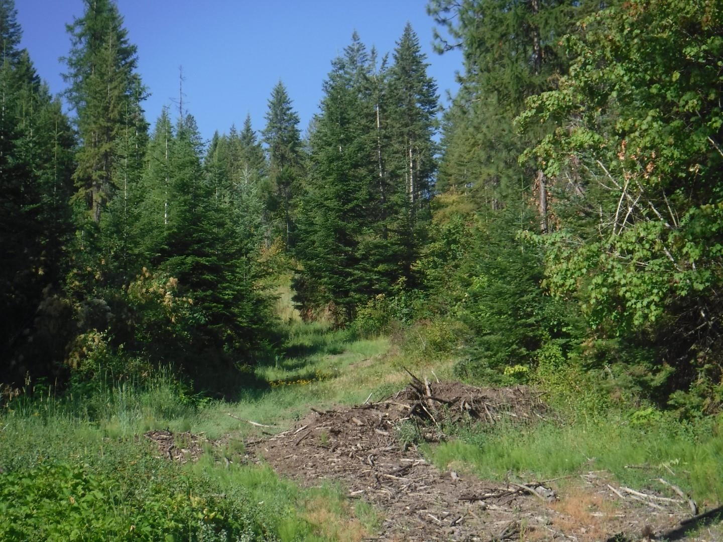 Lot 2 Moose Ridge Way Loon Lake, WA 99148 - Photo 11 of 11