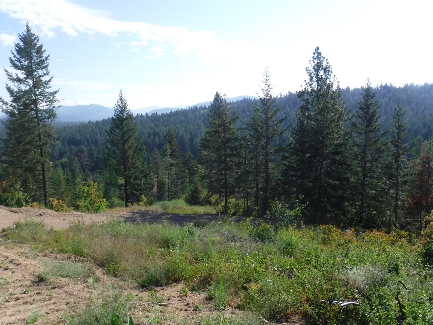 Lot 2 Moose Ridge Way Loon Lake, WA 99148 - Photo 5 of 11