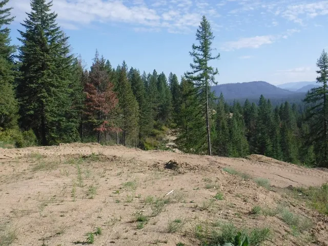 $305,000 | Lot 2 Moose Ridge Way, Loon Lake, WA 99148