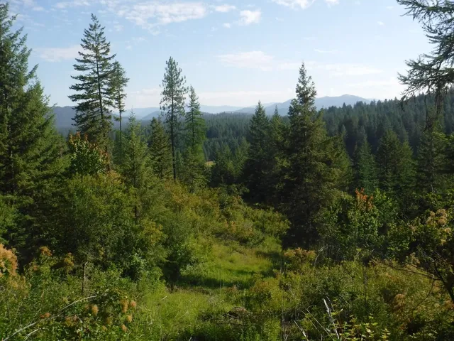 $305,000 | Lot 2 Moose Ridge Way, Loon Lake, WA 99148