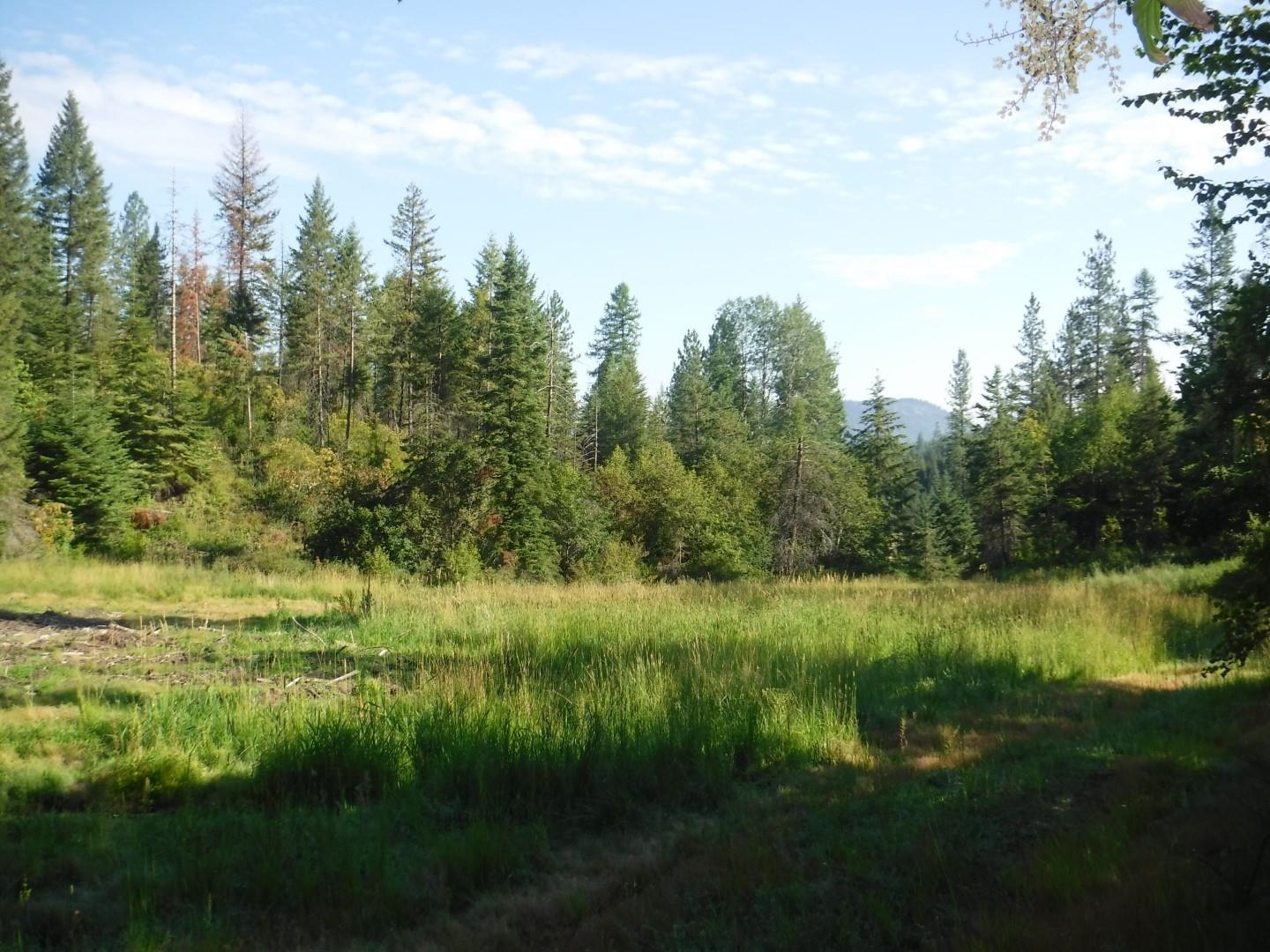 Lot 2 Moose Ridge Way Loon Lake, WA 99148 - Photo 9 of 11